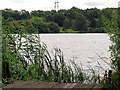 Horsehill Lake near Burghfield