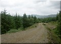 NM8210 : Forest near Kilmelford by J M Briscoe