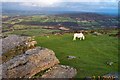 SX7081 : King Tor - Dartmoor by Richard Knights