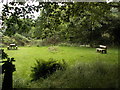 Picnic area near Gogerddan