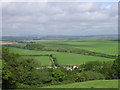 Farmland north of Bere Regis