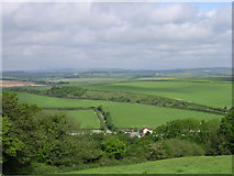 SY8495 : Farmland north of Bere Regis by Jim Champion