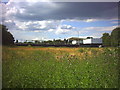 Tooting and Mitcham Football Club, Bishopsford Road, Mitcham.