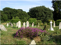 SU4113 : Southampton Old Cemetery by Jim Champion