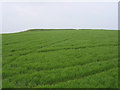 The Long Bredy bank barrow, Martin