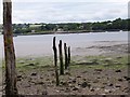 SN0009 : Cleddau River by Cered