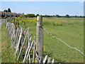 Field off Market Lane, Langley