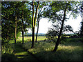 Footpath at Hyde End Wood