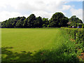 Cricket Field at Woodlands St Mary