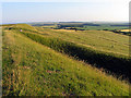 SU2986 : The Western Edge of Uffington Castle Fort by Pam Brophy