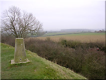 ST9101 : Trig point on the rampart of Spettisbury Rings by Jim Champion