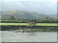 SH7401 : River Dovey - Afon Dyfi by Nigel Freeman