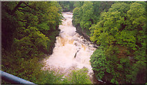 NS8841 : The Falls of Clyde by Kevin Rae