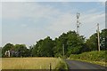 TQ2532 : Telecoms mast, South Lodge, Pease Pottage, West Sussex by Pete Chapman