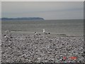 North Wales Coast Path