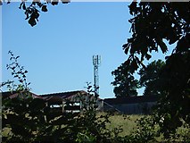 TQ2034 : Phone Mast, Wimland Farm, Near Faygate, West Sussex by Pete Chapman