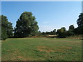 Part of the Hogsmill Open Space near Ewell