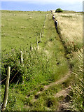 SY9575 : Steep incline on the South West Coast Path towards St Aldhelm's Head, Isle of Purbeck by Jim Champion