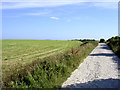 Field and track to St Aldhelm