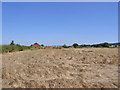 Typical Vale of Belvoir farmland