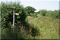 Overgrown Bridleway