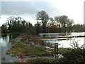 SU1409 : River Avon at Ibsley by John Smitten