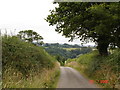 Fields and woods near Waen