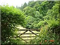 Gate and field to Afon Y Meirchion