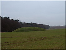 TF7627 : Tumulus on Harpley Common by Sheila Russell