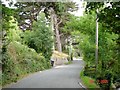 Country lane at Rhyd y Foel