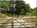 Farm track near Dolwen