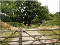SH8974 : Farm track near Dolwen by Dot Potter