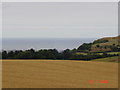 View of farmland towards Prestatyn and the coast