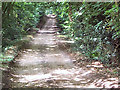 Roman Road between Corfe Mullen and Merley