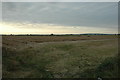 View across farm land