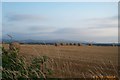 Farm scene near North Tawton