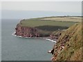 NX9413 : St Bees Head, Cumbria by Tom Courtney