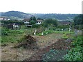 Allotments off Barnards Hill Lane