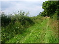 Bridle Path, Blofield