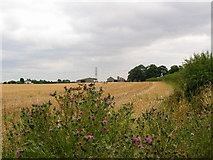 TA1436 : Kelwell Farm by Stephen Horncastle