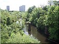 River Kelvin