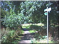 Footpath beside the Hogsmill River.