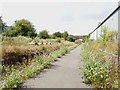 The Phoenix Trail enters Thame