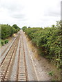 SP7506 : Railway near Haddenham by David Hawgood