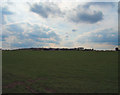 TQ1760 : Pasture, Rushett Farm by Roger Miller