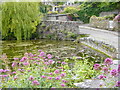 The Mill Pond  Swanage