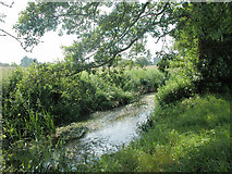 SP4834 : Oxfordshire Brook by Dennis Turner
