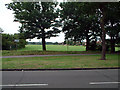 Ashburton Playing Fields, Croydon, from the north