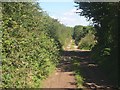 "Green lane" on the eastern side of Hingston Down