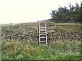 SK0496 : Ladder Stile by Roger May